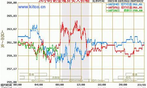 2010钯金多少钱一克_钯金价格2010年