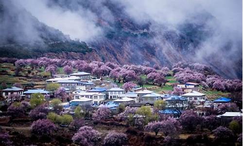 波密的油价和林芝的油价_波密离林芝还有多远